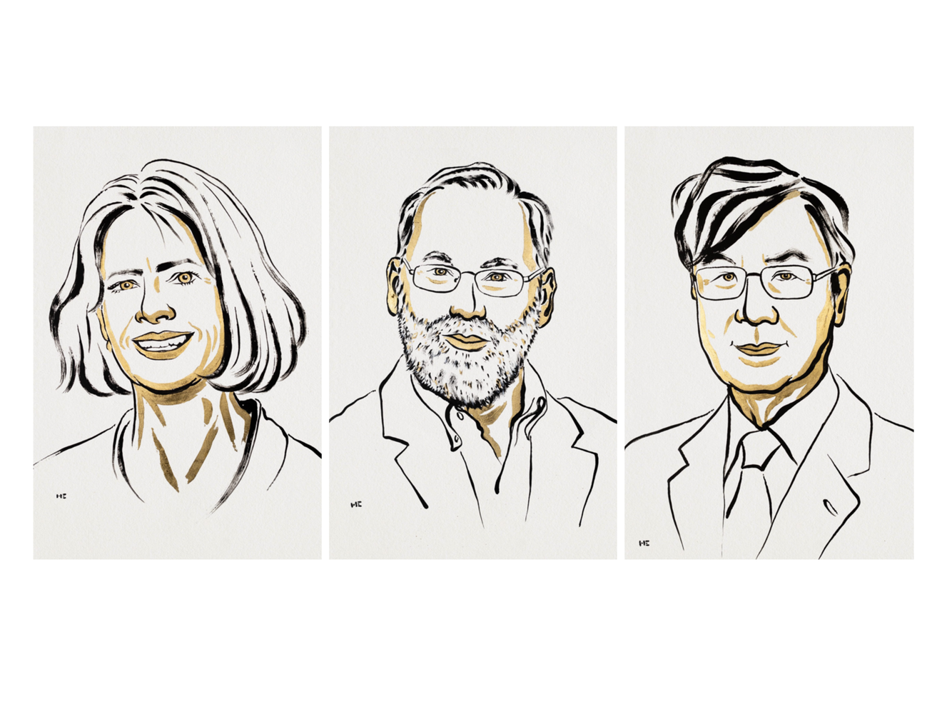 Nobelpreis für Medizin 2025: Brunkow, Ramsdell und Sakaguchi erforschten die Regulation des Immunsystems Mary E. Brunkow, Fred Ramsdell, Shimon Sakaguchi