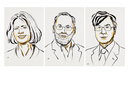Nobelpreis für Medizin 2025: Brunkow, Ramsdell und Sakaguchi erforschten die Regulation des Immunsystems Mary E. Brunkow, Fred Ramsdell, Shimon Sakaguchi