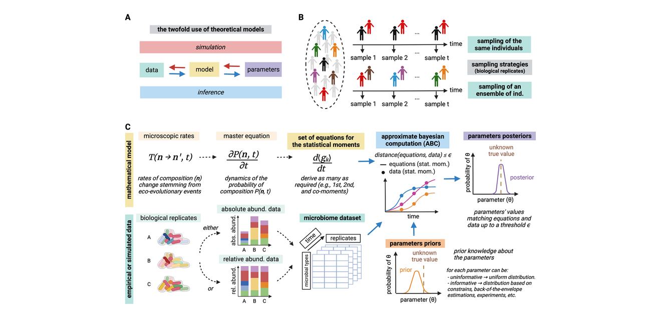 Schemazeichnung Parameterinferenz-Workflow und Eigenschaften mikrobieller Daten.