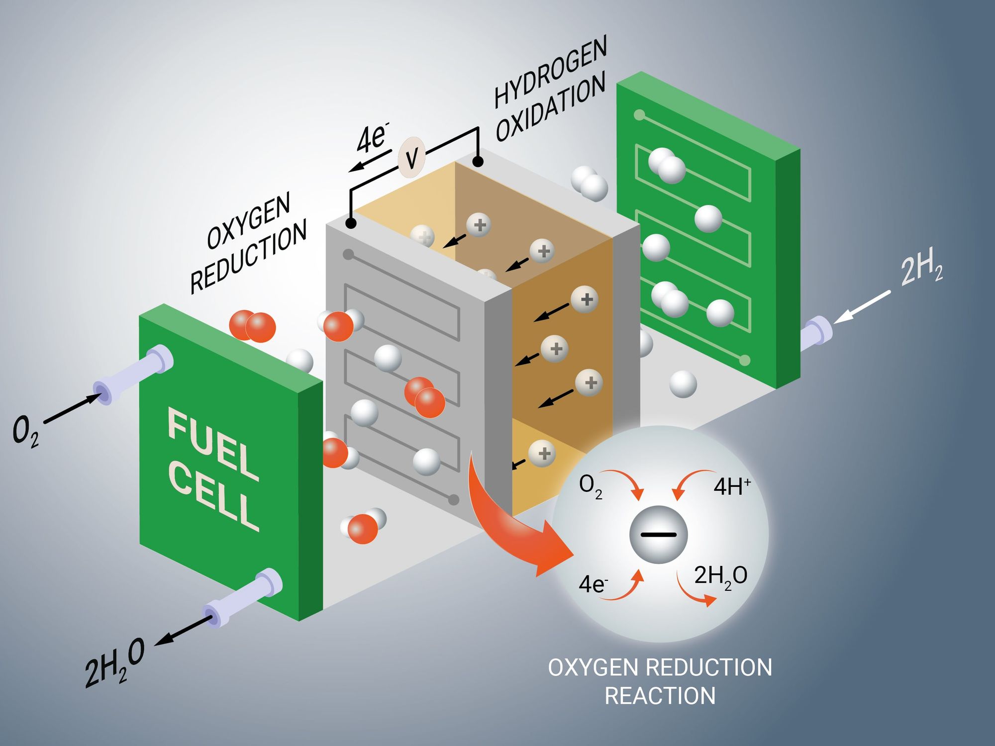 Brennststoffzellen-Katalysatoren verstehen - Fritz-Haber-Institut Studie 2026 Schematische Darstellung einer Brennstoffzelle und der untersuchten elektrochemischen Prozesse.