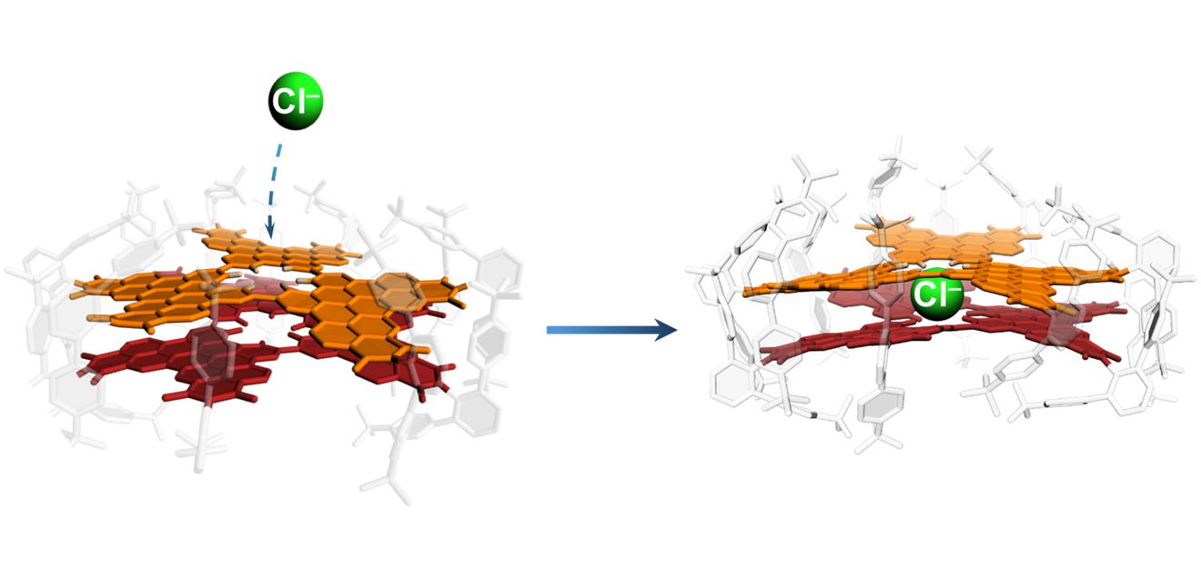Das Würzburger Modellsystem aus zwei Nanographenschichten, das durch einen Defekt im Kristallgitter Chlorid-Ionen (grün) aufnehmen und binden kann. Das Würzburger Modellsystem aus zwei Nanographenschichten, das durch einen Defekt im Kristallgitter Chlorid-Ionen (grün) aufnehmen und binden kann.