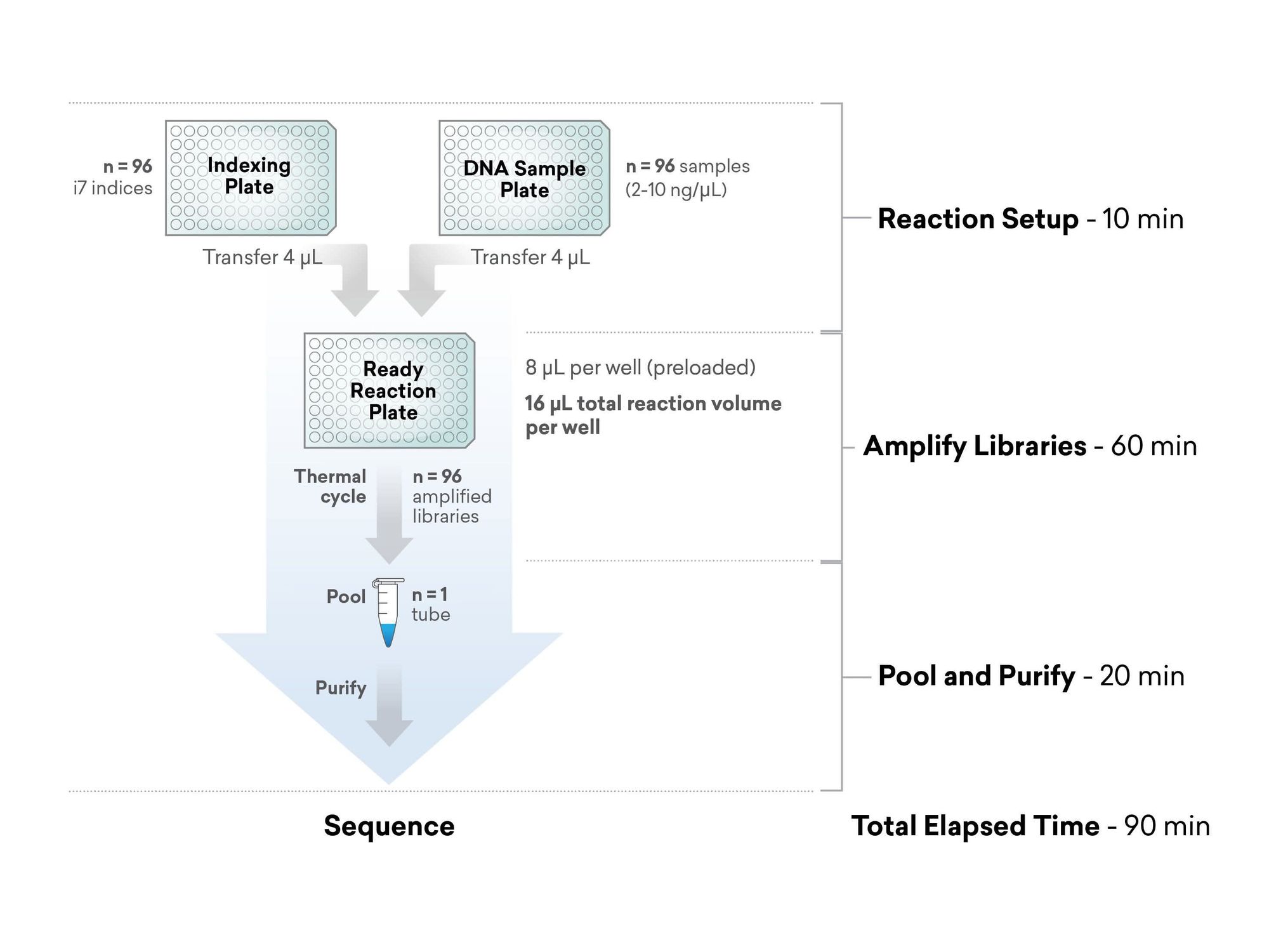 Automatisierung einer NGS-Probenvorbereitung für Plasmide und Amplikons: Hochdurchsatz in der Forschung Workflow des „ExpressPlex Library Preparation Kit”