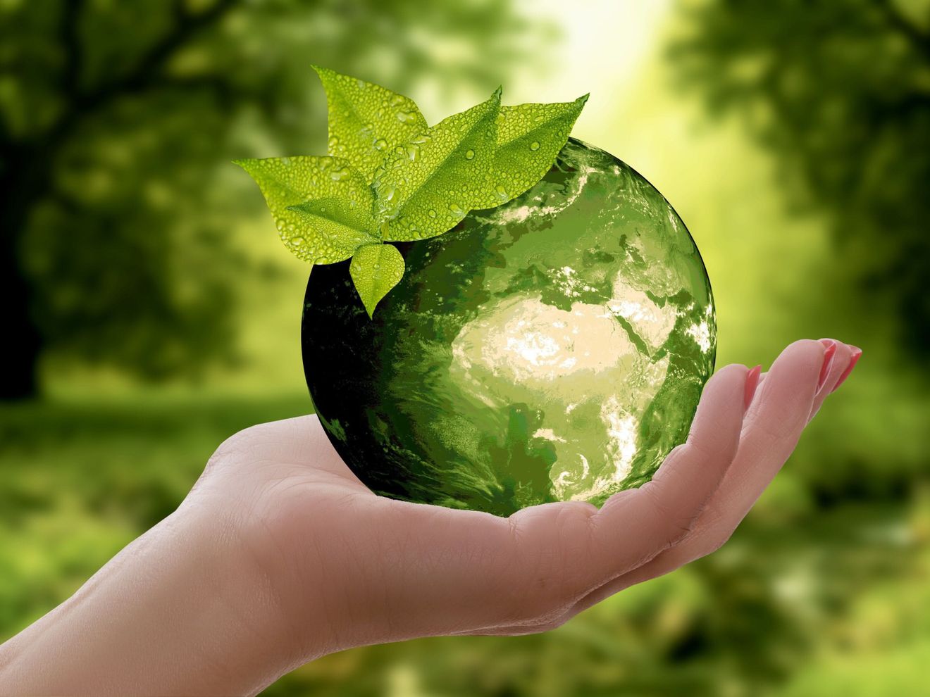ESG-Reporting ESG-Reporting
