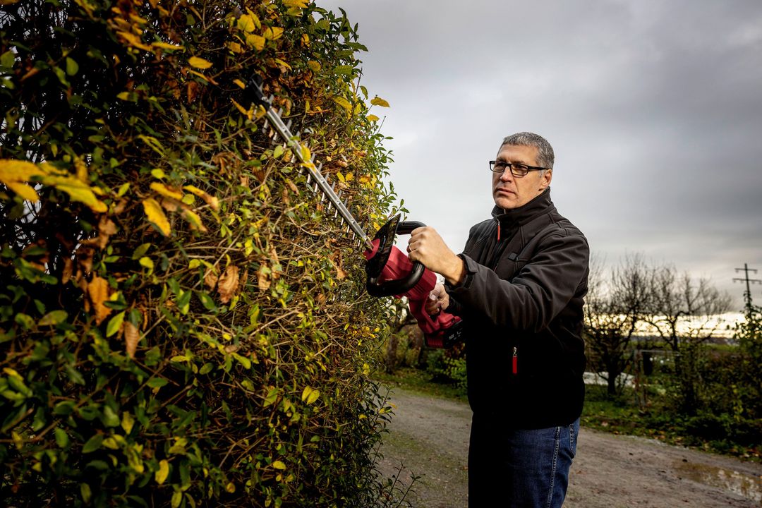 Ab in den Garten! FLEX Akkuplattform nun auch für Gartengeräte