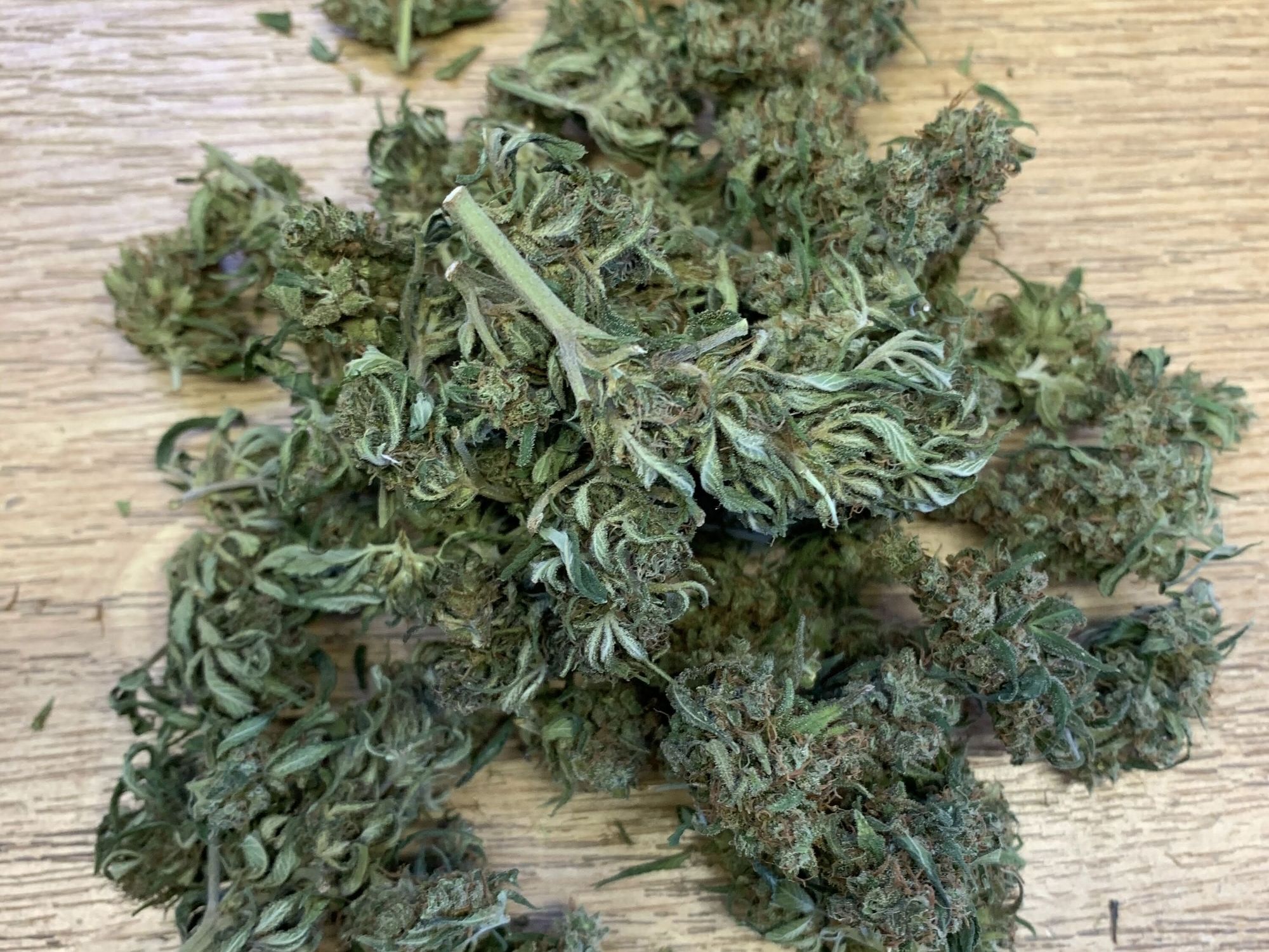 Cannabisblütenknospen vor dem Mahlvorgang