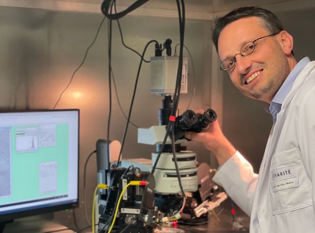 Alzheimer behandeln - neue Ansätze: CLIC1 und das Immunsystem Prof. Dr. Madry, Institut für Neurophysiologie Charité Berlin
