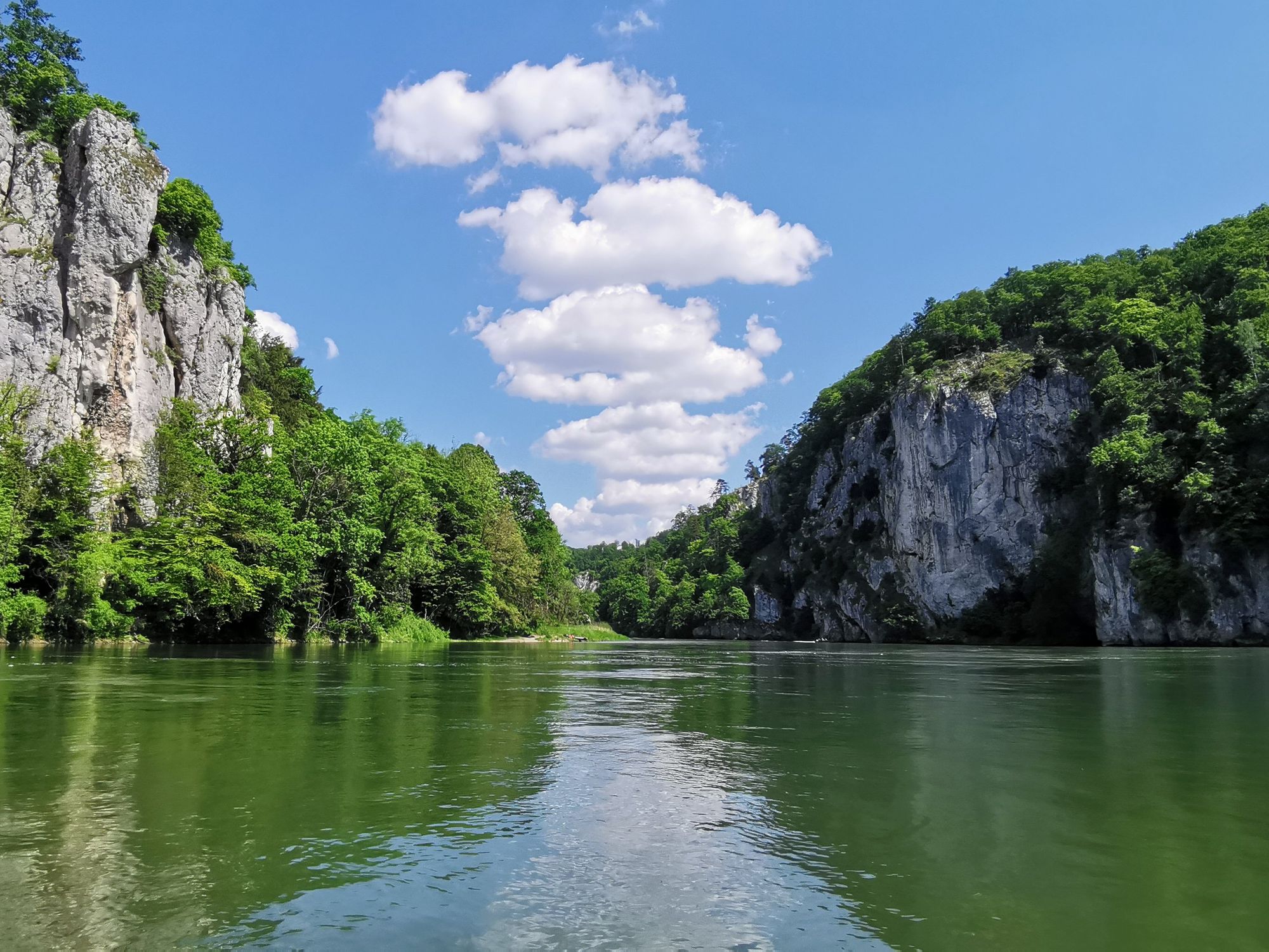 PFAS sind auch in der Donau zu finden Flusswasser der Donau Foto