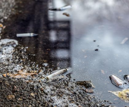 Zigarettenkippen verseuchen Wasser Zigarettenkippen im Wasser am Ufer eines Gewässers