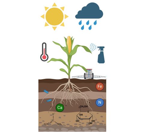 Einfluss exogener Faktoren auf das Metabolom Die Grafik zeigt Einfluss exogener Faktoren auf das Metabolom.
