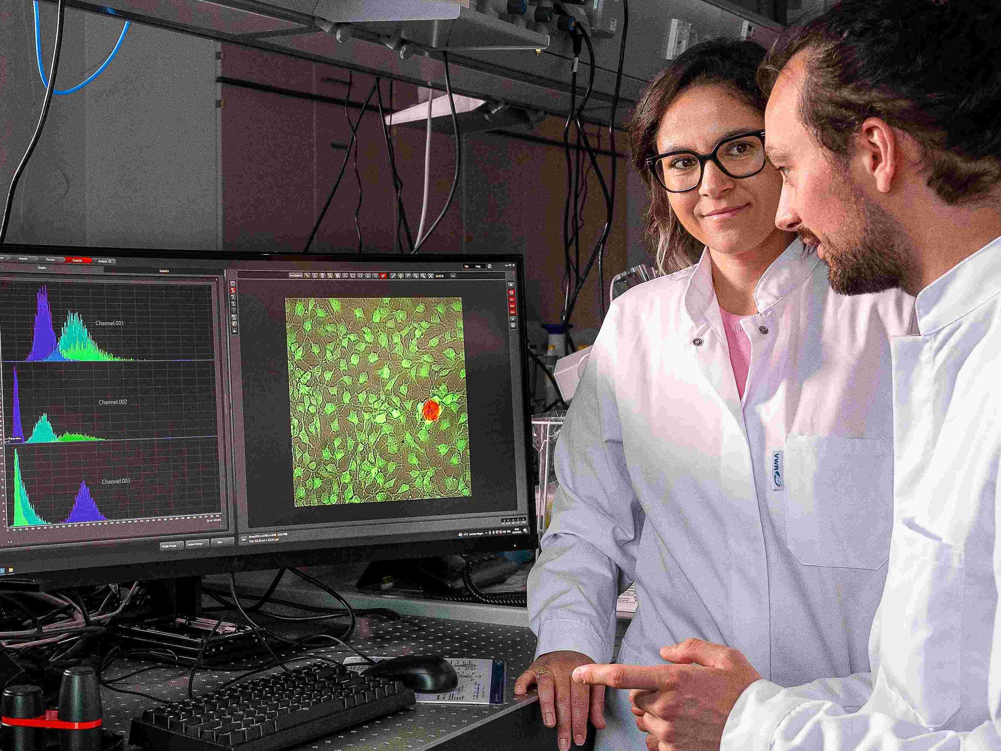 Thermische Stimulation von Zellen: Mikroroboter für das Erforschen von Zellen Berna Özkale Edelmann und Philipp Harder im Microrobotic Bioengineering Lab