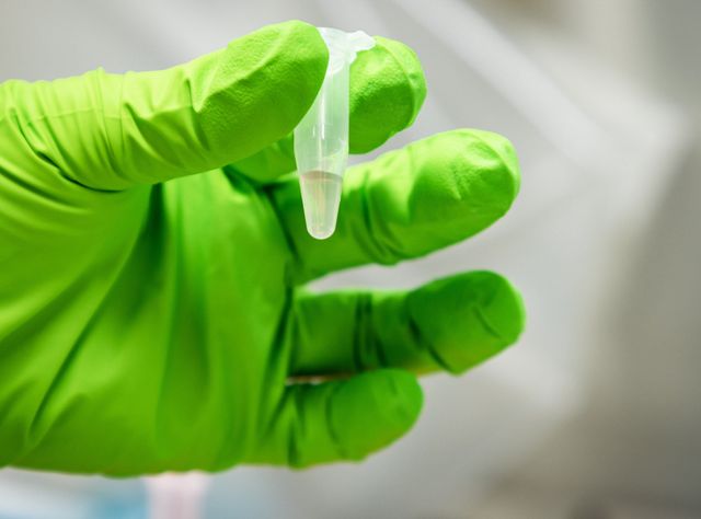 Abwasserprobe für die Sequenzierung