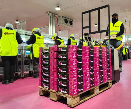 Forklift truck: Flexible rental solution for seasonal peaks Forklift truck: Flexible rental solution for seasonal peaks