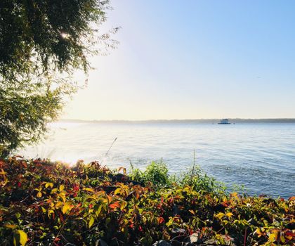 Antibiotikarestenzen im Müggelsee und anderen Badegewässern? Was die Forschung herausgefunden hat
