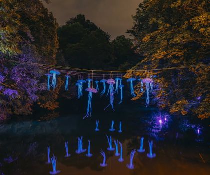 Lichtparcours 2024 in Braunschweig: Licht und Plastik: Kunst für eine nachhaltige Zukunft Lichtparcours 2024 in Braunschweig: Licht und Plastik: Kunst für eine nachhaltige Zukunft