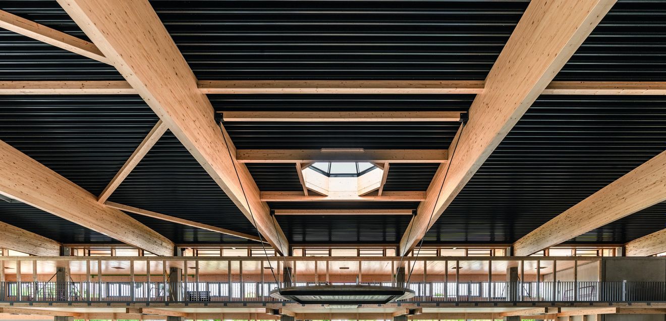 Primärkonstruktion Ausstellungshalle Holzgroßhandel Höttcke Primärkonstruktion Ausstellungshalle Holzgroßhandel Höttcke