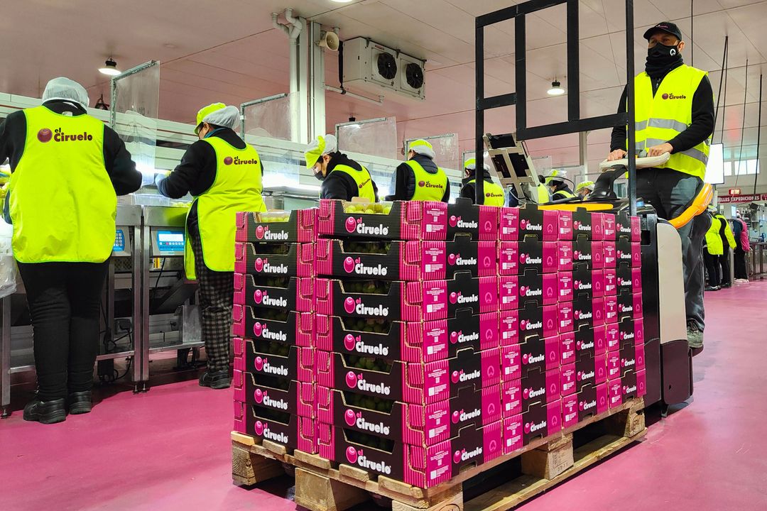 Forklift truck: Flexible rental solution for seasonal peaks