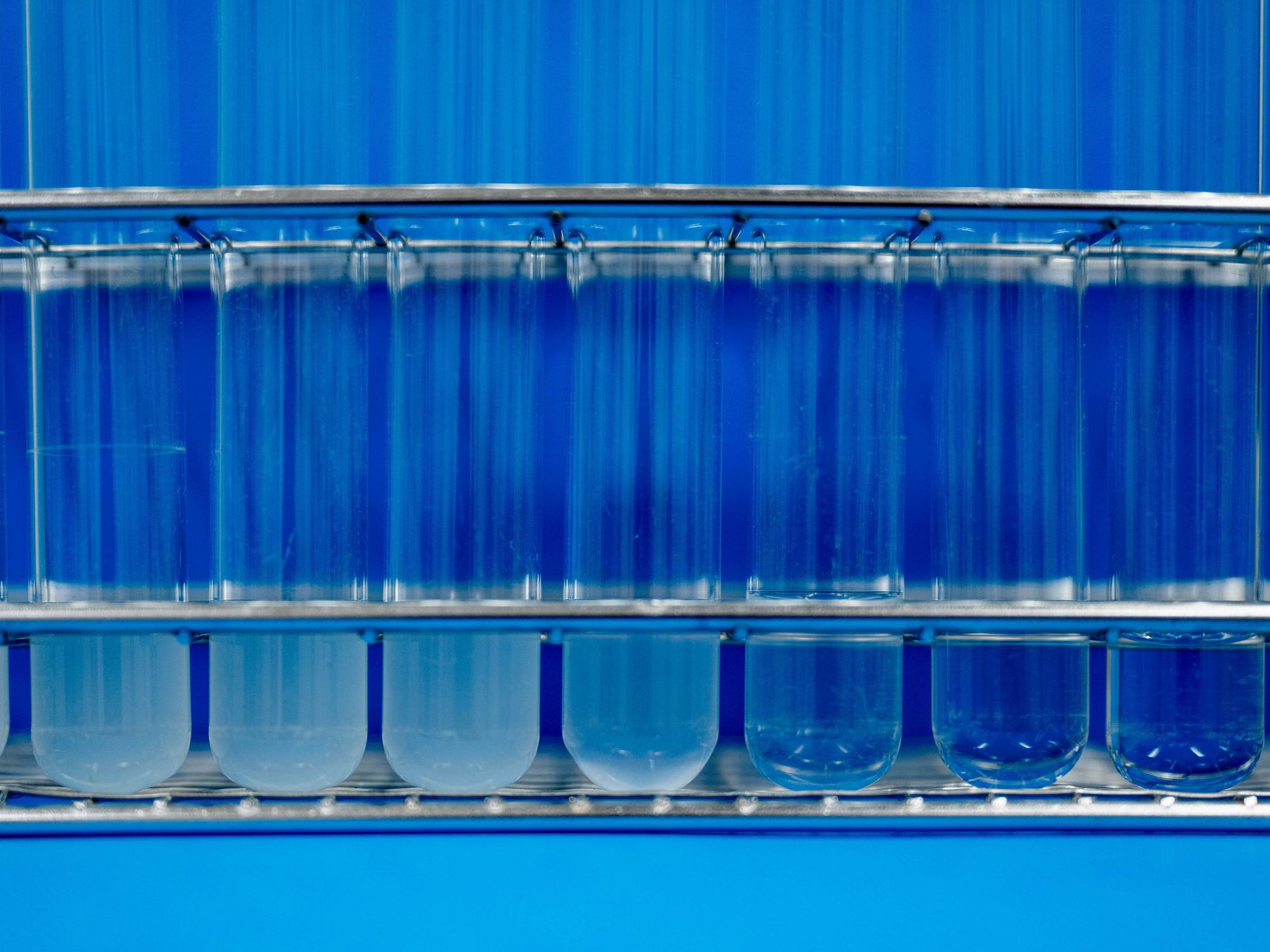 Antibiotika: Gleicher Angriffspunkt – unterschiedliche Wirkung