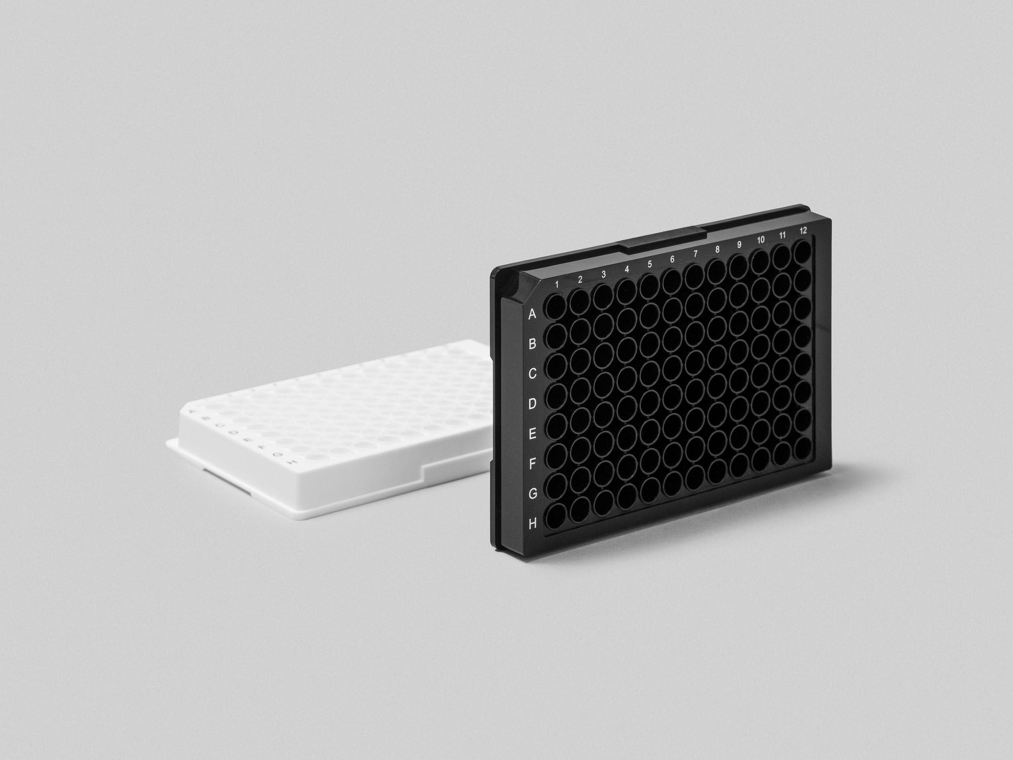 Pflanzenbasierte 96-Well-Platten in Schwarz und Weiß Produktfoto: Zwei Pflanzenbasierte 96-Well-Platten in Schwarz und Weiß