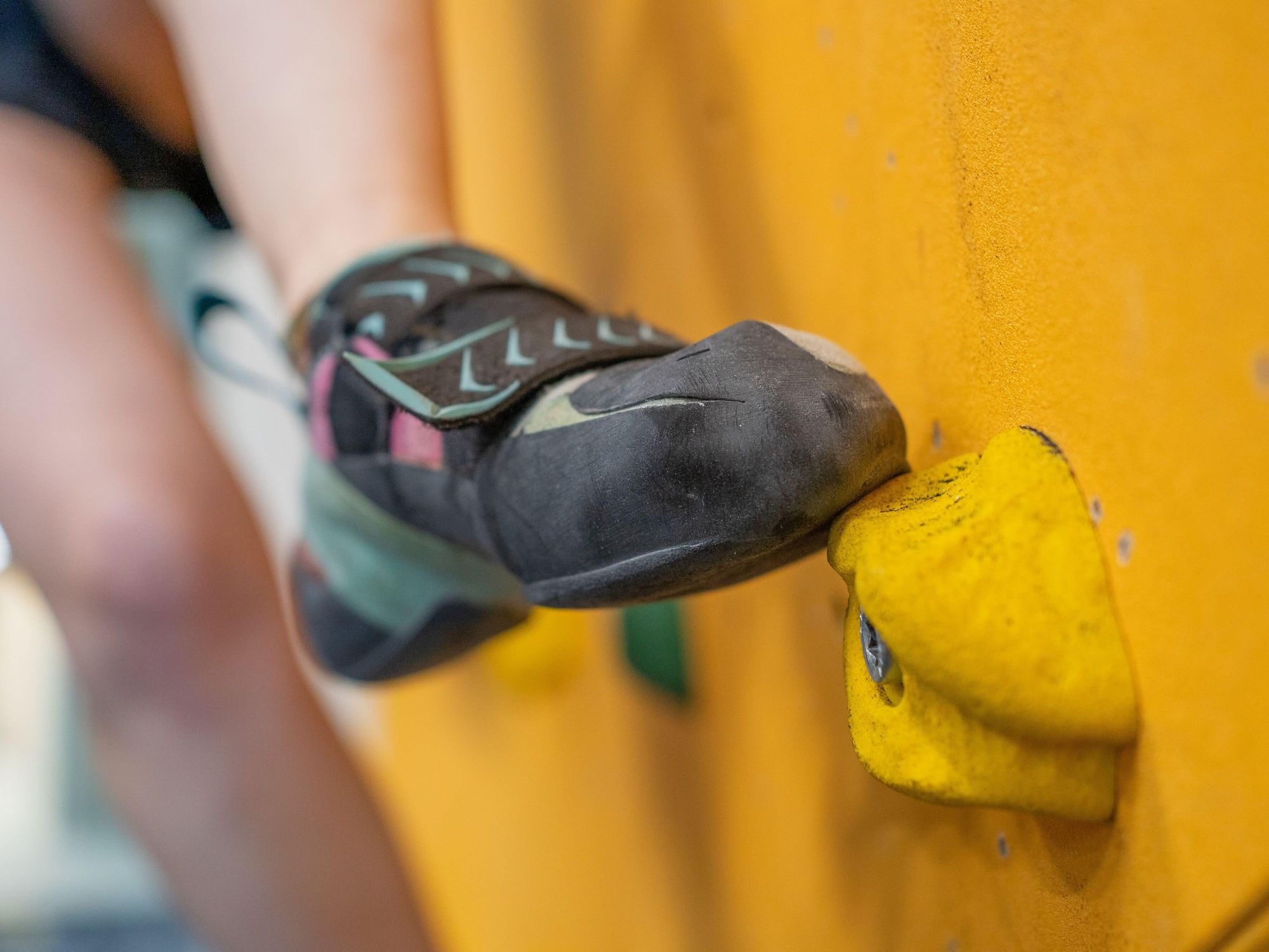 Partikel aus Abrieb von Kletterschuhen untersucht Kletterschuh in Nahaufnahme beim Klettern in einer Kletterhalle