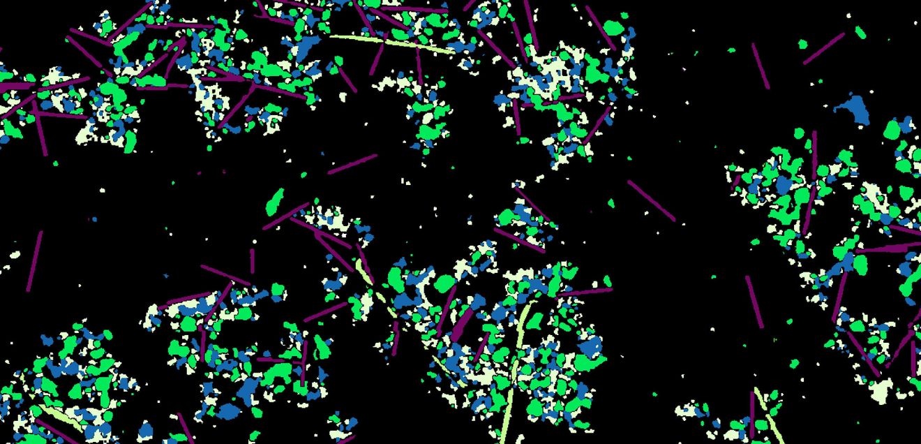 Mikroplastik - Kunststoffpartikel verschiedener Form und Größe Kunststoffpartikel verschiedener Form und Größe (Mikroplastik)