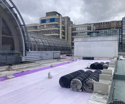 Urban Farming auf 5.000 Quadratmetern mit Jackon Insulation