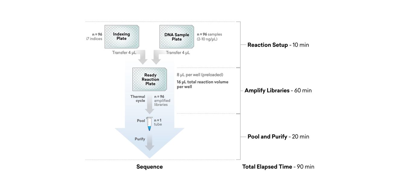 Workflow des „ExpressPlex Library Preparation Kit”