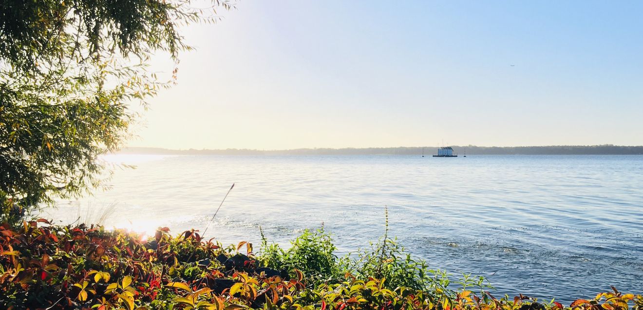Antibiotikarestenzen im Müggelsee und anderen Badegewässern? Was die Forschung herausgefunden hat
