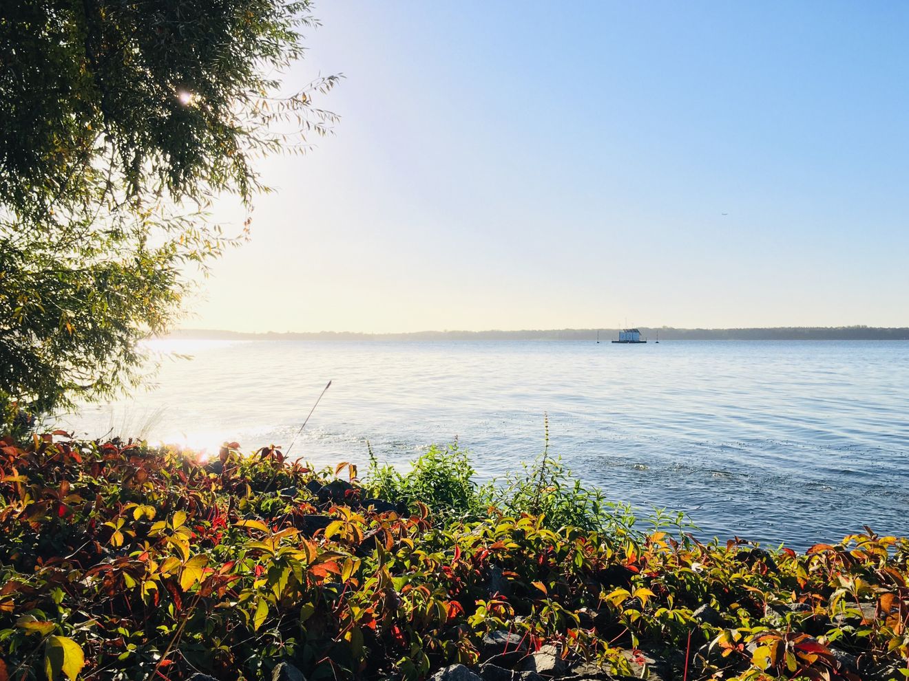 Antibiotikarestenzen im Müggelsee und anderen Badegewässern? Was die Forschung herausgefunden hat