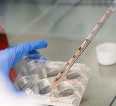 Foto: Pipettiervorgang im Labor