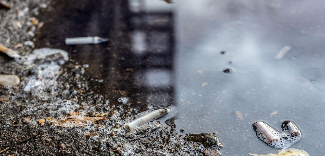 Zigarettenkippen verseuchen Wasser Zigarettenkippen im Wasser am Ufer eines Gewässers