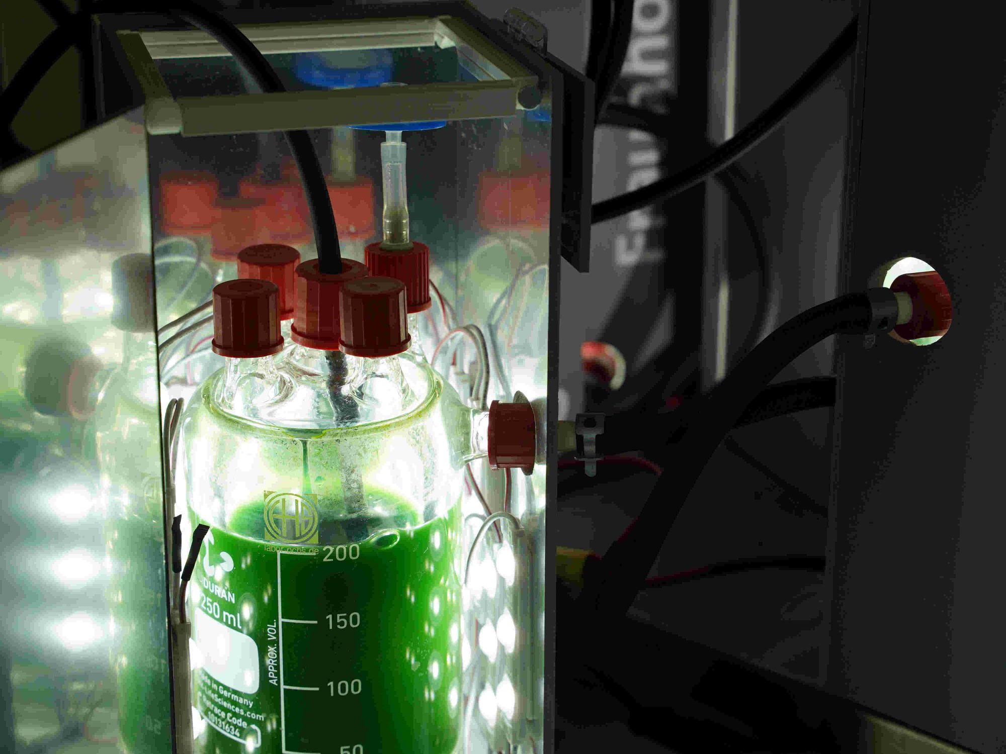 Fraunhofer-Institut entwickelt biobasierte klimaneutrale Baustoffe