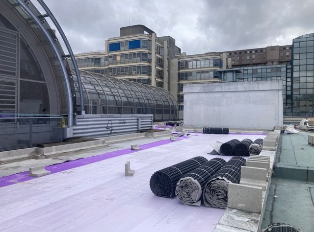 Urban Farming auf 5.000 Quadratmetern mit Jackon Insulation