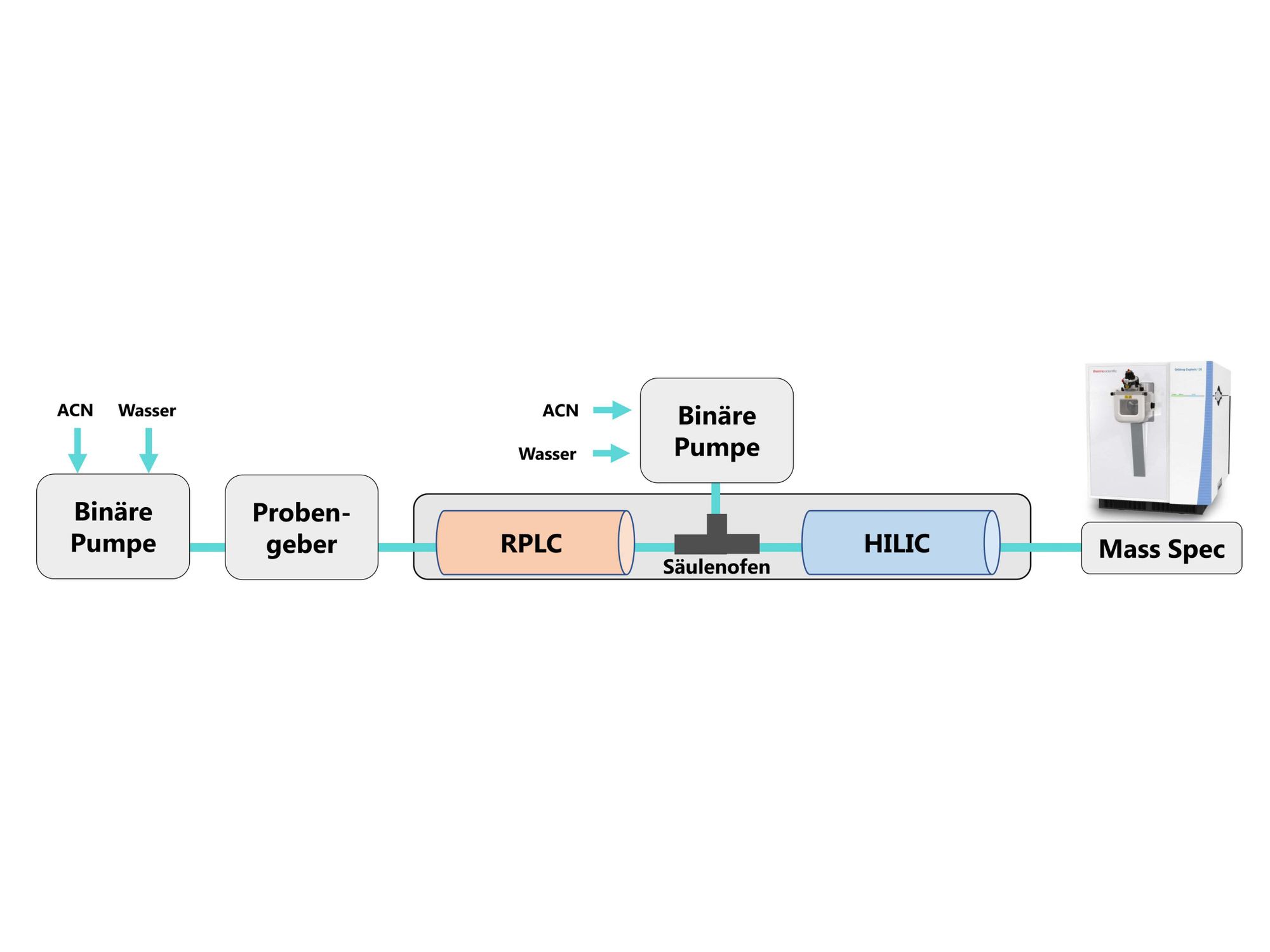 Über die Entwicklung einer Methode: Serielle RPLC-HILIC-Kopplung mit hochauflösender MS Instrumentelle Komponenten