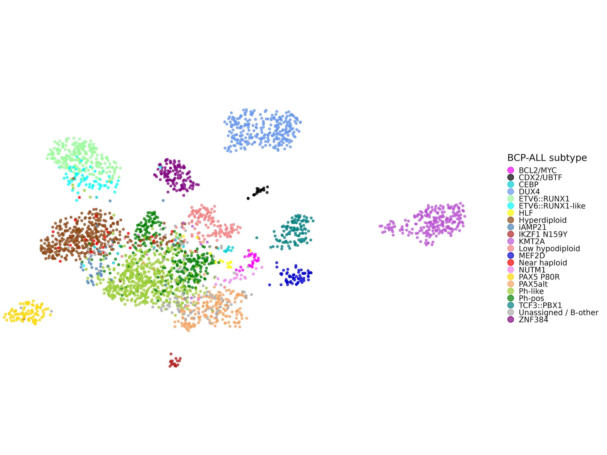 Bioinformatik-Tool: Molekulare Diagnostik der akuten lymphoblastischen Leukämie Bioinformatik-Tool: Molekulare Diagnostik der akuten lymphoblastischen Leukämie