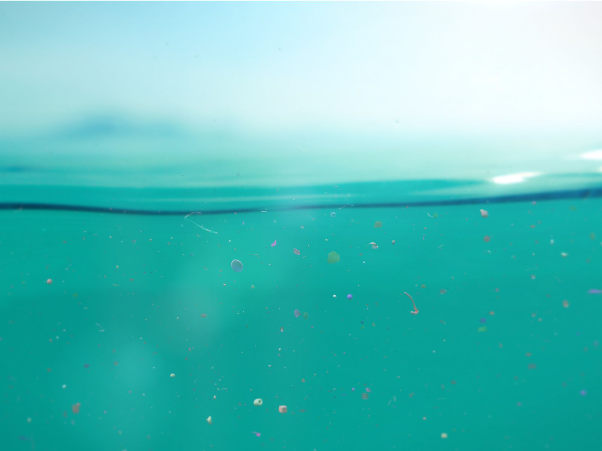 Untersuchung zu Datenanalyseverfahren: Mikroplastikanalytik auf dem Prüfstand Wasser mit bunten Partikeln
