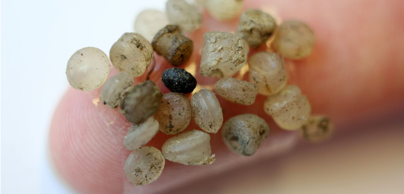Mikroplastik-Teilchen Mikroplastik-Teilchen, die am Ufer der Warnow gefunden wurden, kleben im Leibniz-Institut für Ostseeforschung (IOW) an einem Klebestreifen an einem Finger.