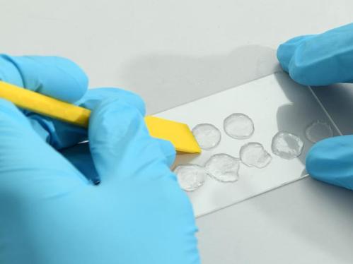 Hydrogel wird, das mit Hautzellen gemeinsam bedruckt werden kann Hydrogel wird, das mit Hautzellen gemeinsam bedruckt werden kann