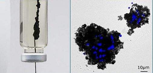 Abbildung links: Schwarzer Raucher im Miniaturformat (links). Die Spritze injiziert das sulfidische Fluid in eine eisenreiche Lösung in einem Glasfläschchen. Dadurch fällt eine schwarze Eisensulfid-Membran aus, an dem sich methanogene Archaeen anheften (Abbildung rechts, in schwarz sind die Eisensulfid-Partikel dargestellt, in blau die durch eine Färbung sichtbaren methanogenen Archaeen), und den entstehenden Wasserstoff verstoffwechseln können.