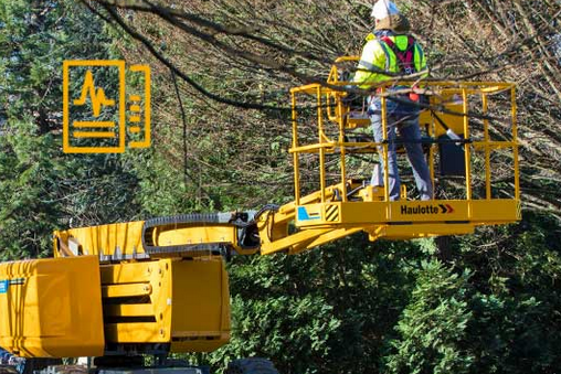 Haulotte - deutliche Verbesserung der aktuellen operativen Marge Eine Hubarbeitsbühne von Haulotte im Einsatz an einem Baum