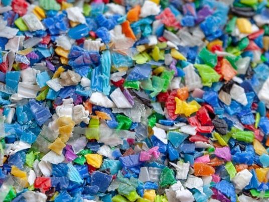 Biobasierte und biologisch abbaubare Kunststoffe entwickelt: EU-Projekt Bio-Plastics Europe erfolgreich beendet Biobasierte und biologisch abbaubare Kunststoffe entwickelt: EU-Projekt Bio-Plastics Europe erfolgreich beendet
