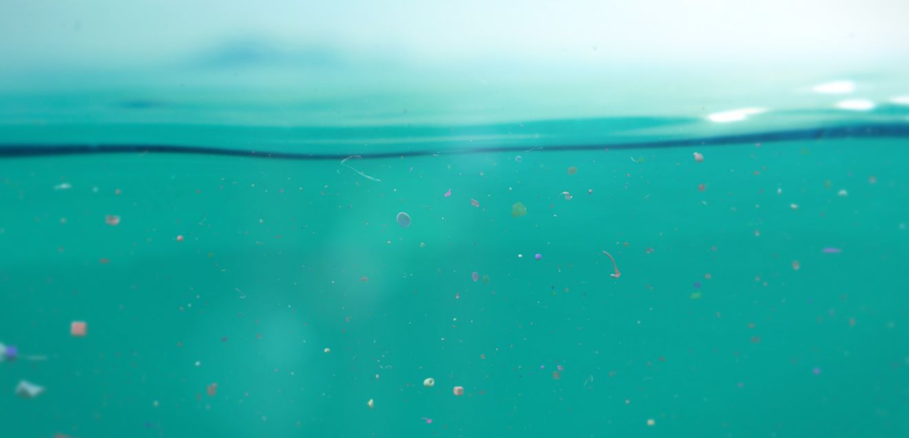 Untersuchung zu Datenanalyseverfahren: Mikroplastikanalytik auf dem Prüfstand Wasser mit bunten Partikeln