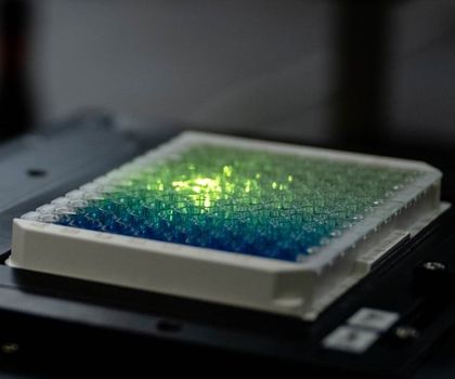 Bioanalytik: Nanosensoren für mehr Sensitivität Versuchsaufbau mit Wellplatte