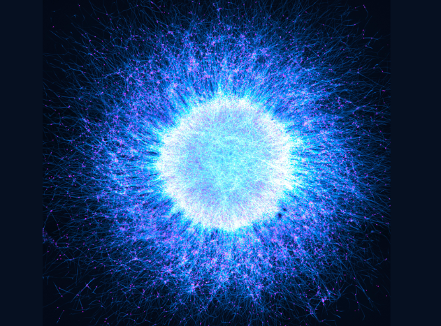 Image of the Year Award: Evident zeichnet das Mikroskopie-Bild des Jahres aus Katie Holden aus dem Vereinigten Königreich wurde als globale Gewinnerin für ihr beeindruckendes Bild mit dem Titel „Neuronal Cosmos“ gekürt. Das Bild zeigt aus induzierten pluripotenten Stammzellen gewonnene Neurosphären, die aus neuronalen Zellen bestehen, und sich selbstorganisierend zu Strukturen anordnen, die der geschichteten Architektur des menschlichen Gehirns ähneln.