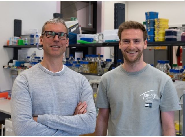 Welche Signalwege in der Zelle zu möglichen Therapien gegen Parkinson führen Sascha Martens (links) and Elias Adriaenssens (rechts).