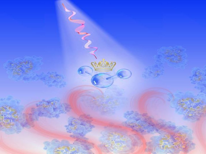 Terahertz-Kalorimetrie: Protein-Wasser-Interaktion in Echtzeit erforschen Wassermoleküle spielen eine tragende Rolle bei vielen Reaktionen. Die Forschenden haben eine neue Methode entwickelt, die bislang unmögliche Beobachtungen mit extremer Zeitauflösung eröffnet.