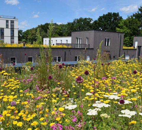 Artenreiche Extensivbegrünungen fördern die Biodiversität Artenreiche Extensivbegrünungen fördern die Biodiversität