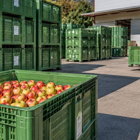 Mehrweglogistik: Behältermanagement: PPWR erhöht den Druck Mehrweglogistik: Behältermanagement: PPWR erhöht den Druck