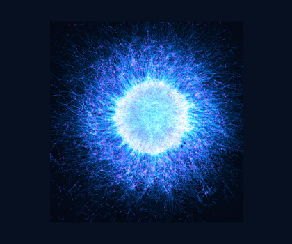 Katie Holden aus dem Vereinigten Königreich wurde als globale Gewinnerin für ihr beeindruckendes Bild mit dem Titel „Neuronal Cosmos“ gekürt. Das Bild zeigt aus induzierten pluripotenten Stammzellen gewonnene Neurosphären, die aus neuronalen Zellen bestehen, und sich selbstorganisierend zu Strukturen anordnen, die der geschichteten Architektur des menschlichen Gehirns ähneln.