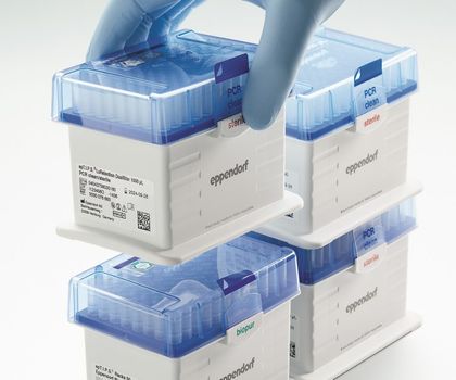Produktfoto Einweg-Racks aus Rezyklat