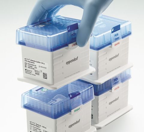 Einweg-Racks aus Rezyklat Produktfoto Einweg-Racks aus Rezyklat